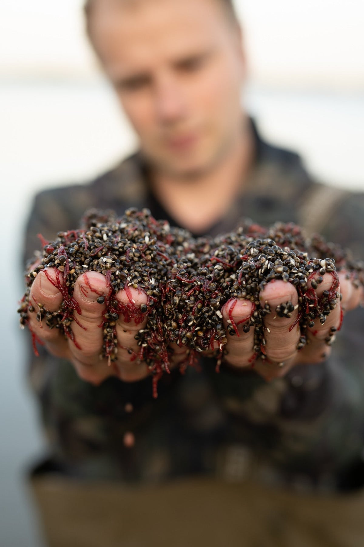 BLOODWORM MIX