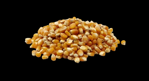 CRIPS CORN DRY