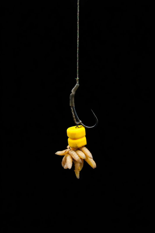 READY2GO Maggot Rig Deluxe