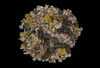 PowerSoak Mix