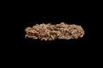 Arctic Krill Cream