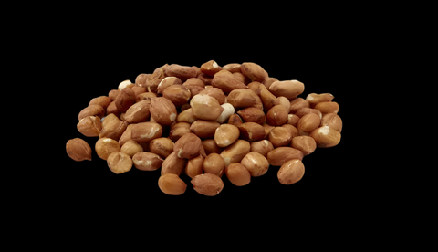 REDSKIN PEANUTS TROCKEN