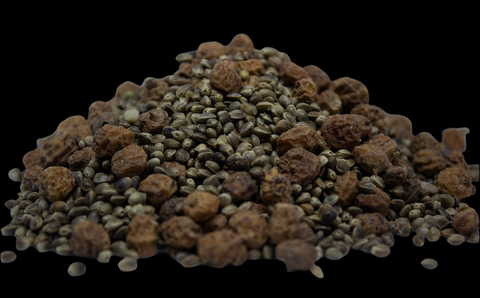 TIGERNUSSEN  / HANF MIX DRY