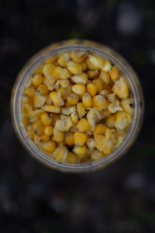 NOIX TIGRÉES EN CONSERVE
