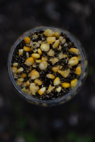 NOIX TIGRÉES EN CONSERVE