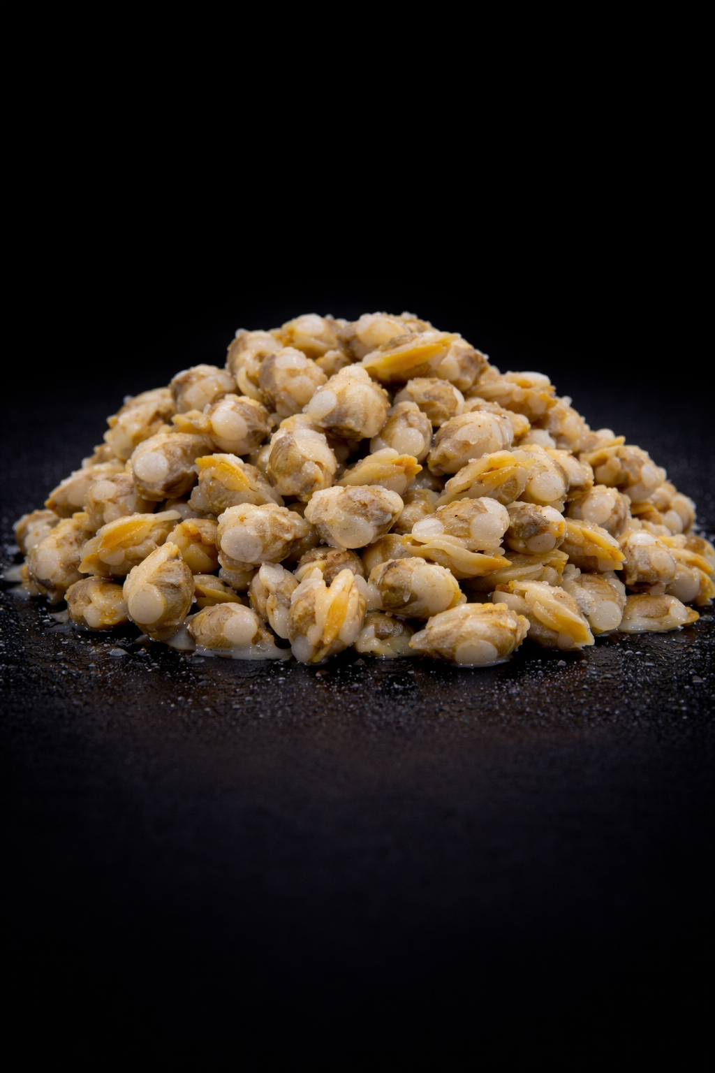 FROZEN MUSSEL CRUNCH
