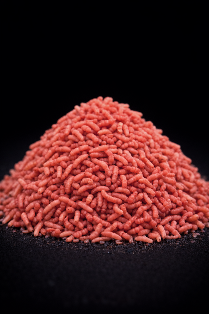 MAGGOTS