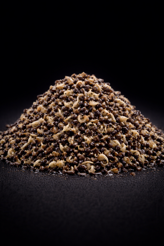 OILY HEMP SEED READY TO FISH