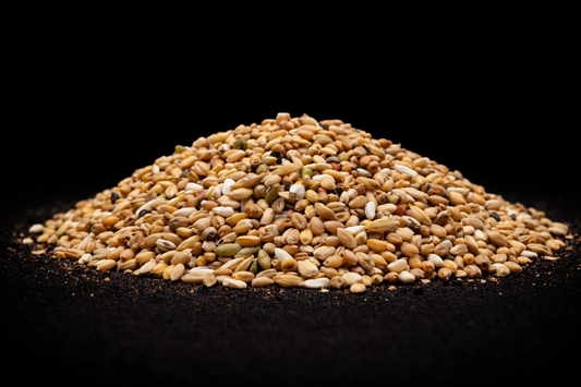 X PARTICLE MIX FISH READY