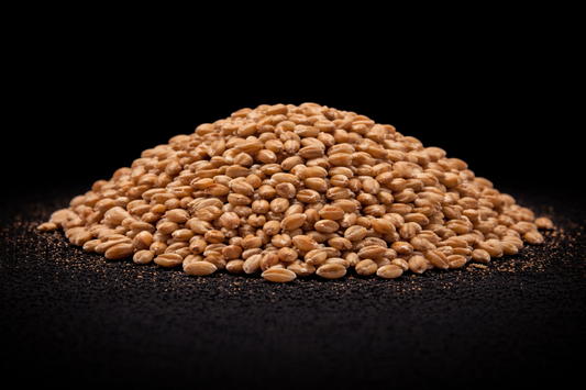 BUCKWHEAT DRY