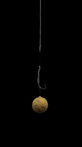 Bungy Rig
