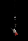 Switch Rig