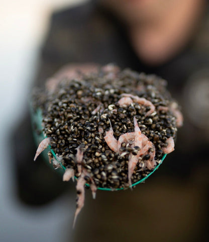 KRILL OCEAN OILY HEMP