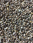 CHANVRE HUILEUX SEC