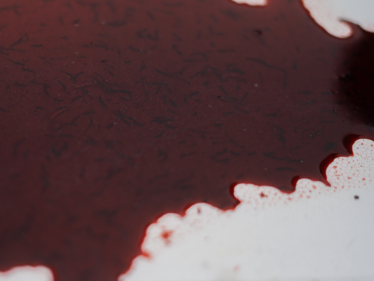 BLOODWORM LIQUID EXTRACT