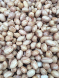 REDSKIN PEANUTS READY TO FISH