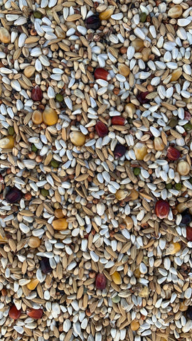 POISSON PRÊT MIX ROUGE